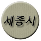 세종시